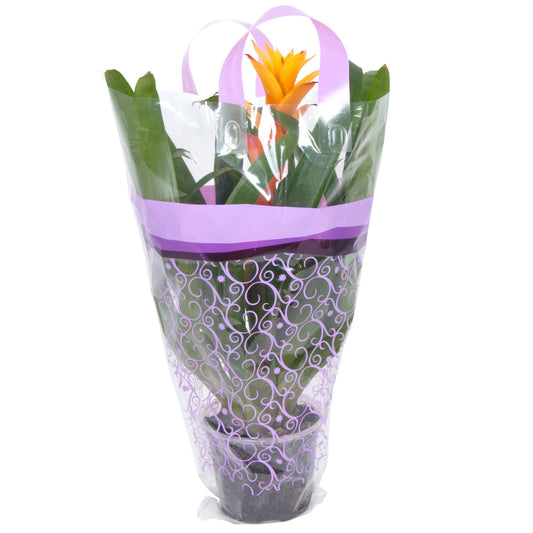 Ariel Airy™ Petal Pouch™