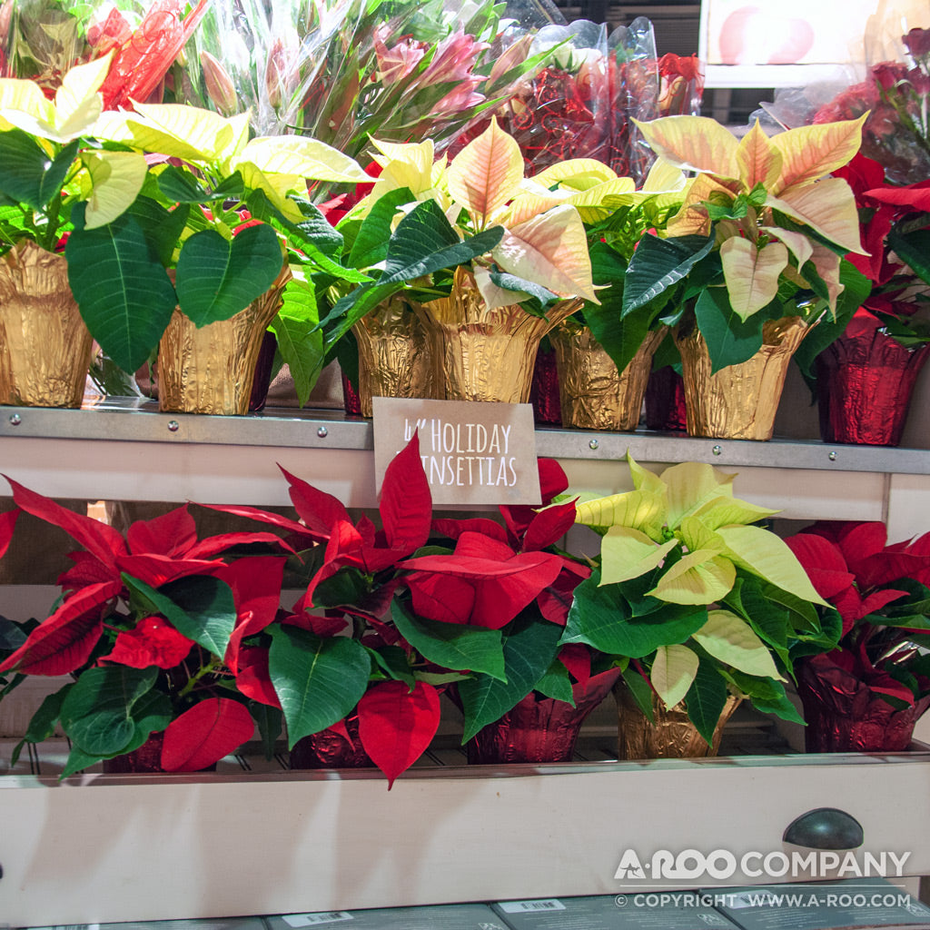 pot covers for plants Metallic Brights e-Covers | Preformed Pot Covers